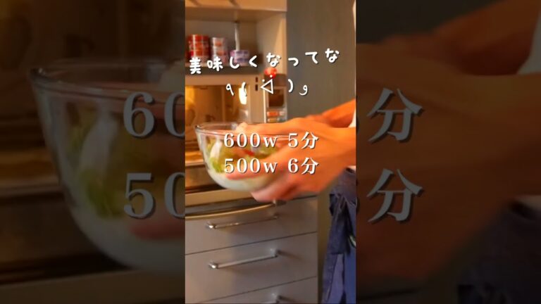 材料5つだけ！簡単すぎる白菜クリームシチュー