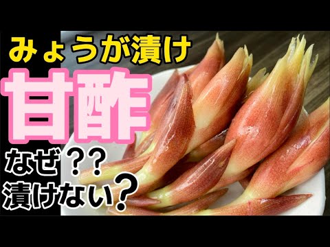 薬味だけじゃもったいない！材料3点だけ！【みょうが甘酢漬け】