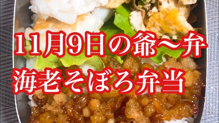 11月9日の爺〜弁　海老そぼろ弁当