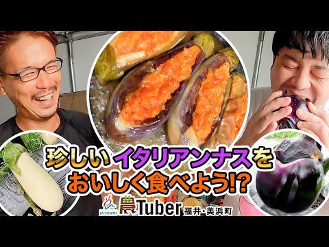 白ナス・丸ナス・ゼブラナス・珍しいイタリアンナスをおいしく食べよう！？～福井・美浜町～ 第3代農Tuber 福田新八 / JAグループ「農Tuber」ちゃんねる