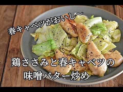 【春キャベツレシピ】たんぱく質が摂れる　春キャベツとささみの味噌バター炒めの作り方