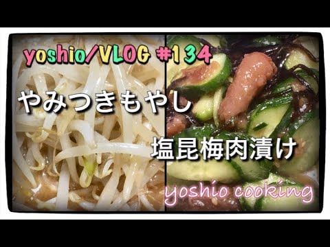 やみつきもやし・塩昆梅肉漬け/yoshio cooking [yoshio/VLOG] #134