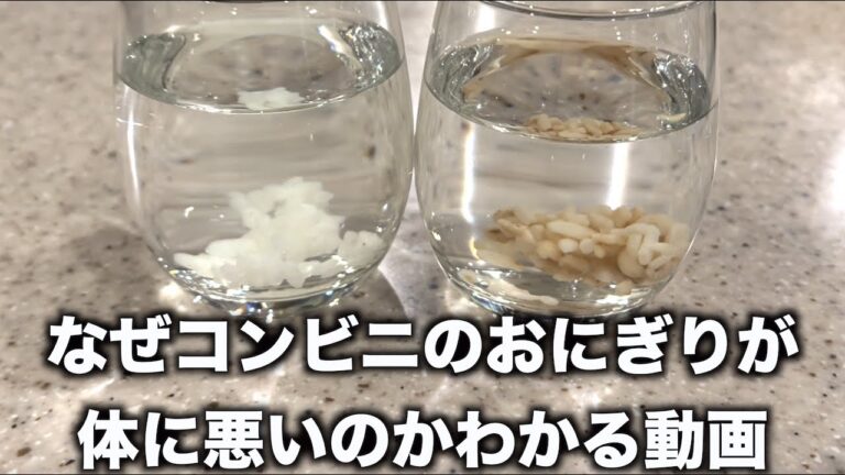 ある液体にコンビニのおにぎりを入れたらなぜ体に悪いのか一発でわかる動画　#shorts