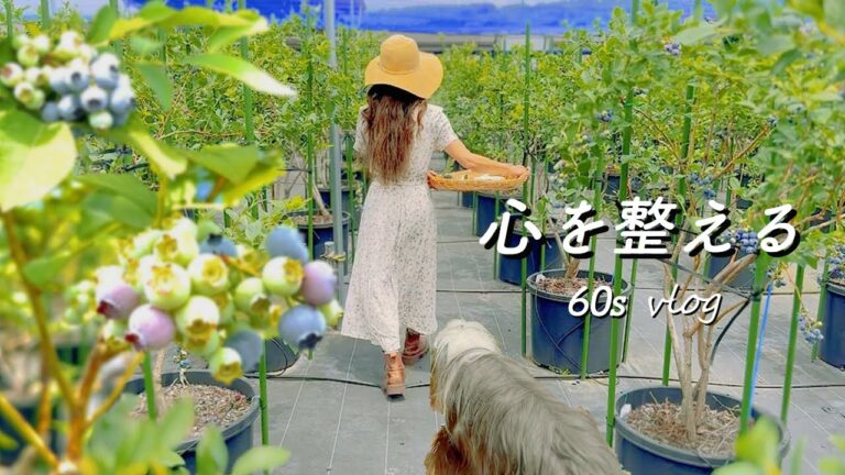 【癒し】60代vlog|眠りながら心を整える|6月の収穫|手摘みブルベリースイーツ|我が家のシンボルツリー|もふもふ犬