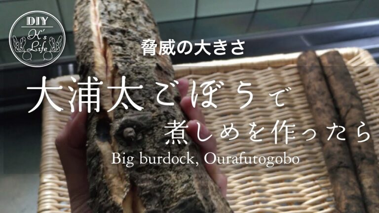 【デカごぼう】大浦太ごぼうの収穫と手羽先の煮物 Harvest of big burdock - English subtitle