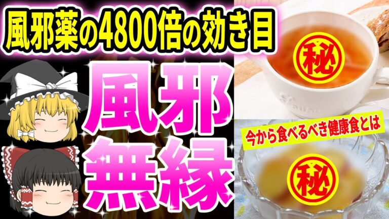 【ゆっくり解説】風邪を撃退する世界が認めた健康食6選