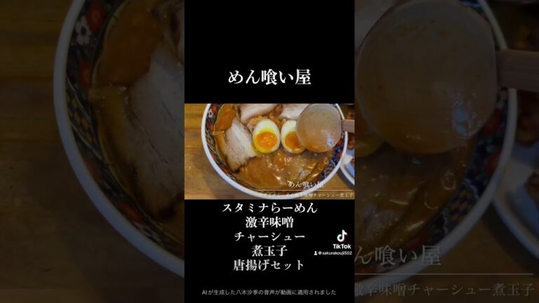 めん喰い屋 スタミナらーめん 味噌 激辛 チャーシュー 煮玉子 唐揚げセット 高菜