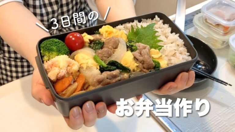 【3日間のお弁当作り#43】豚こまおかずの夫弁当｜作り置き活用