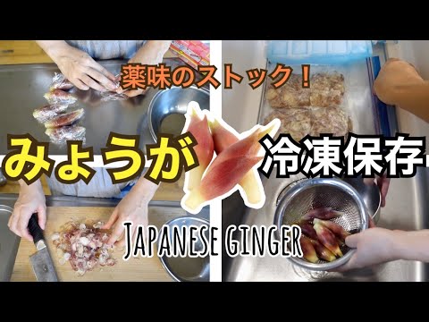 【冷凍保存方法】みょうがを美味しく冷凍保存！そうめんや味噌汁に　保存期間や解凍方法と調理例もご紹介！