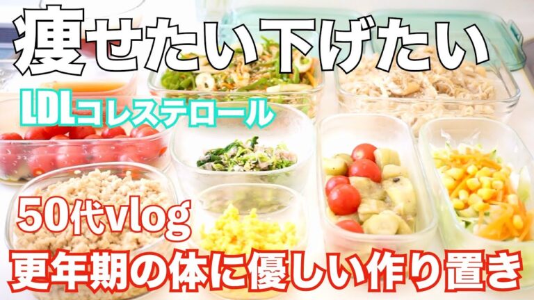 【作り置き】【主菜/副菜】LDLコレステロール値を下げた食事/更年期の体に優しい作り置き/肥満防止レシピ/中高年ダイエット食事/高タンパク低脂質で脂質異常症を改善した食事【50代】