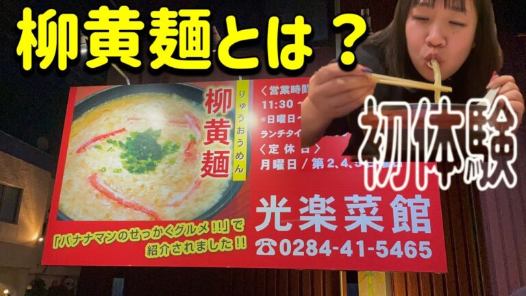 【足利市】光楽菜館💚テレビにも紹介された人生初めて食べる柳黄麺はあっさりしてめっちゃ美味しい🥺👍足利で初めて餃子を出したお店でもあります😊✌️創業６０年の老舗で足利駅近の中華料理屋さん😘