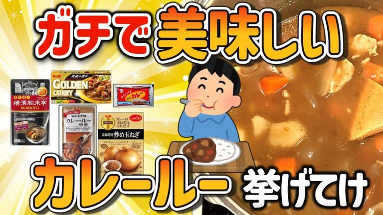 【2ch有益スレ】ガチで美味いカレールーを挙げてけｗ【ゆっくり解説】