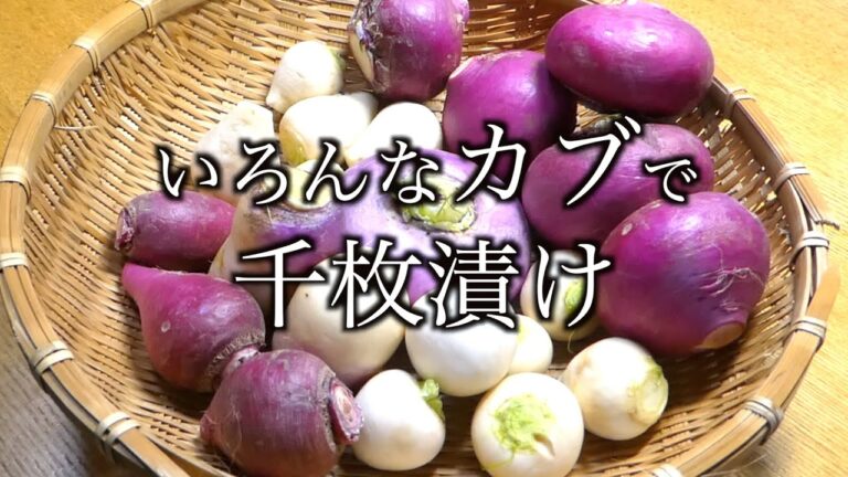 カブ漬物 レシピ　カブ千枚漬け　　Turnip pickles Recipe Turnip senmaizuke