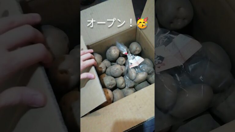 【訳ありじゃがいも🥔お得に箱買い😋】