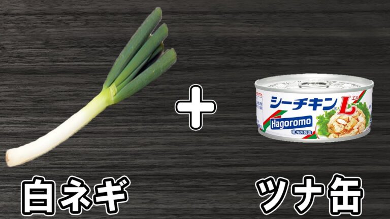 白ネギとツナ缶で作る簡単レシピ！無限ネギ　レンジでお手軽！ご飯が止まらない！？冷めても美味しいおかずの作り方/白ネギレシピ/ツナ缶レシピ/作り置きおかず【あさごはんチャンネル】