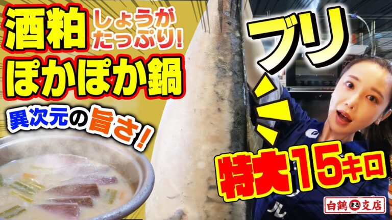 【魚屋の森さん】特大15キロ！でっぷり脂のブリで「酒粕＆生姜たっぷりぽかぽか鍋」！この組合せは驚きの旨さ！体の芯まであったまる！⭕️【白鶴まる支店】