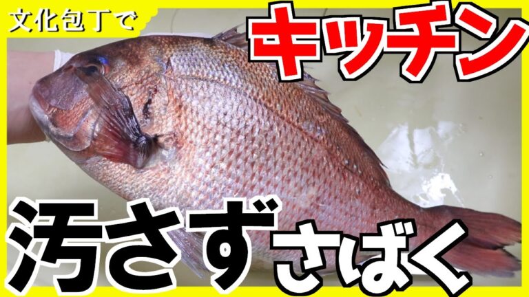 鯛のさばき方(文化包丁でキッチンで）3枚卸しHow to dress fish with Santoku knife