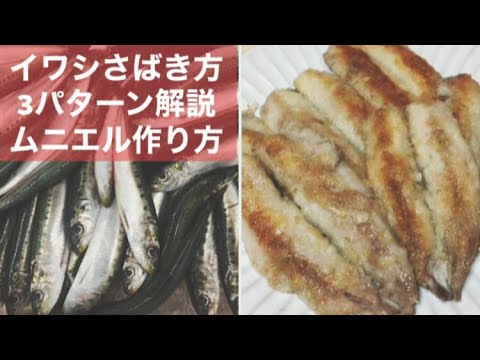 【イワシ】さばき方とムニエルの作り方解説