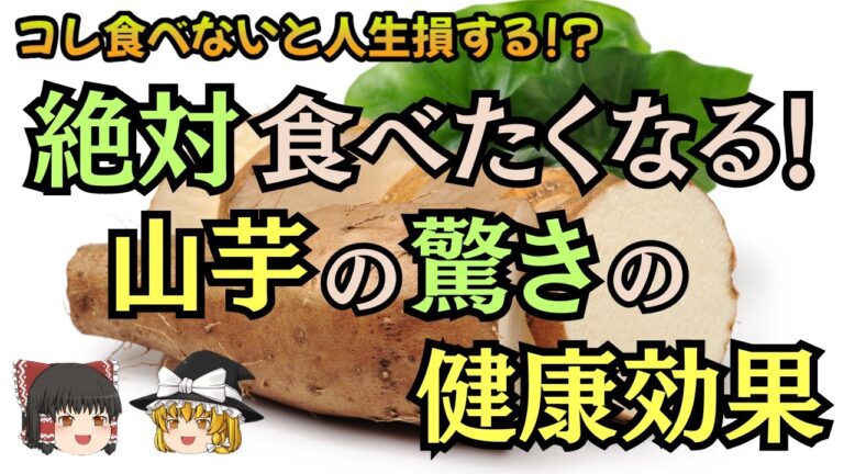 【ゆっくり解説】山芋の驚くべき効能！知られざる栄養素とは