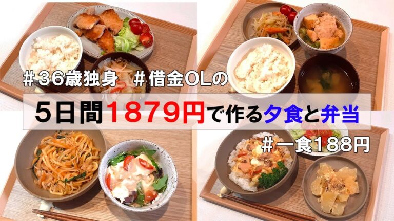 【クズ男な既婚者元カレから連絡きた】食費1ヶ月1万円の一人暮らし節約ごはん／1週間分紹介／サバの蒲焼き🐟チーズカツ🐽…etc