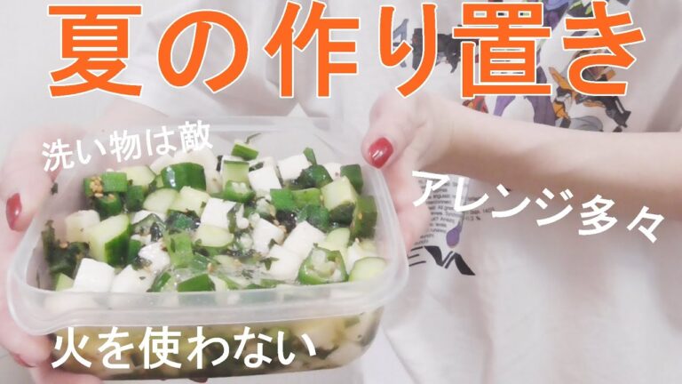 【一人暮らし女の痩せ飯】夏バテでも食べられる10分で出来る作り置き[０はじ]