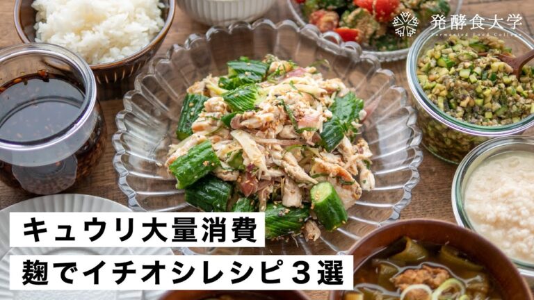 【腸活作り置き#44】麹でキュウリレシピ3選｜大量消費にもおすすめ発酵食メニュー