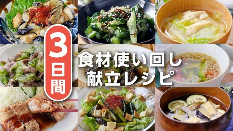 【食材使い回し！3日間献立レシピ】豚こま肉や厚揚げ、なすなど、いろんな食材を使い回し♪｜macaroni（マカロニ）